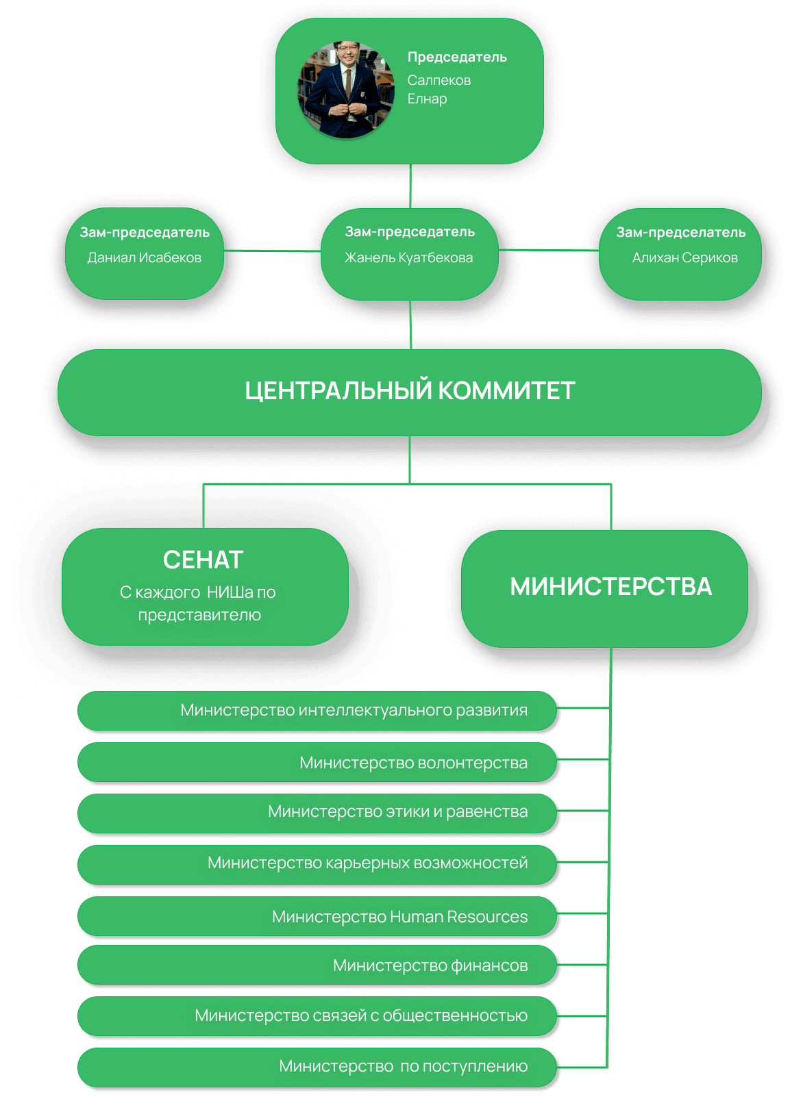 Структура Организации